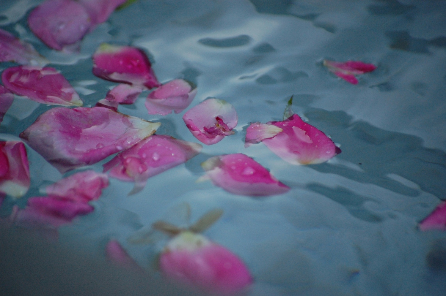 Experts' Ultimate Guide to Using Rose Water for Hair Growth 1 Post