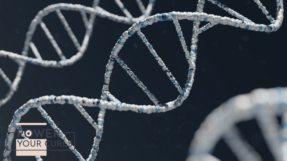 A visual representation of DNA.