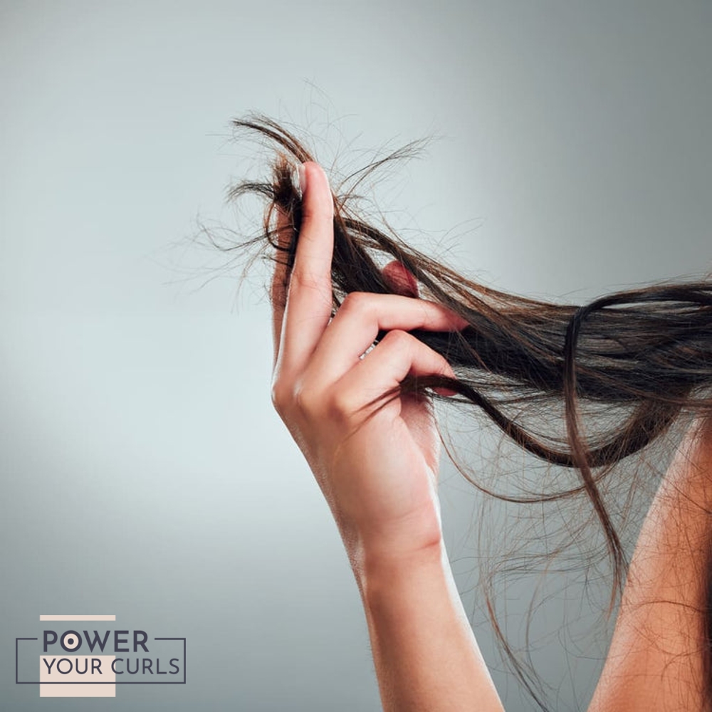 A hand holding up damaged strands of hair with split ends.