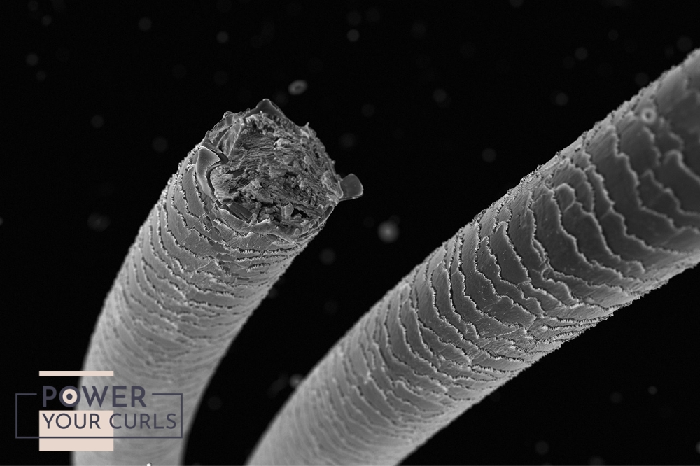 A visual recreation of how damaged hair strands appear under a microscope.
