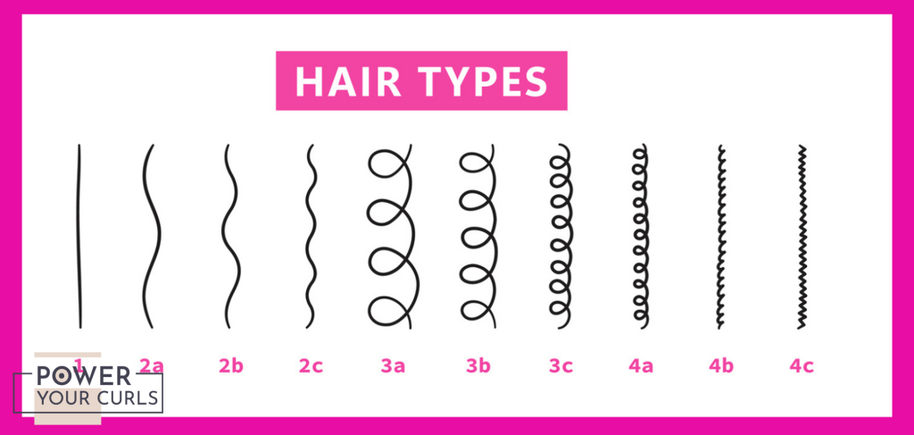 A diagram of the different hair types.