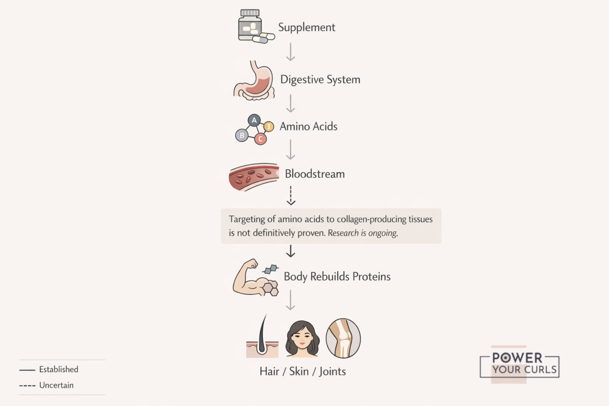 Collagen for Hair Growth: The Holy Grail or Just Hype 6 Post