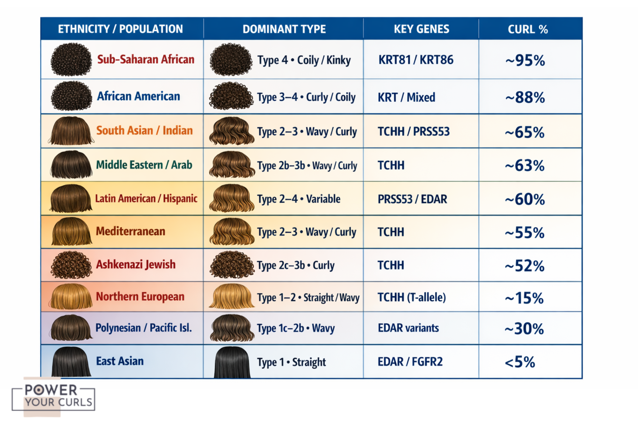 Curly Hair Genetics: Curl Pattern in DNA & Ethnicity 13 Post