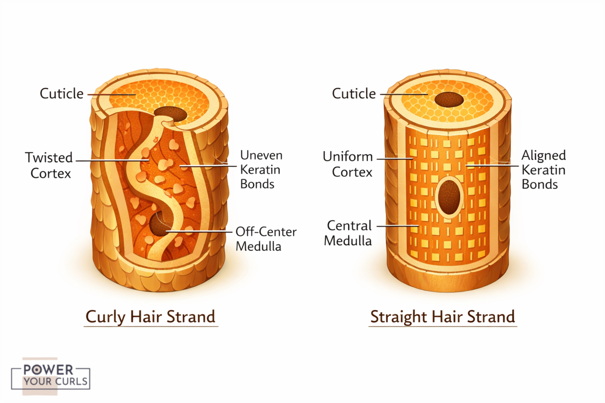 Why Sun Exposure Is Especially Detrimental to Your Curly Hair 10 Post